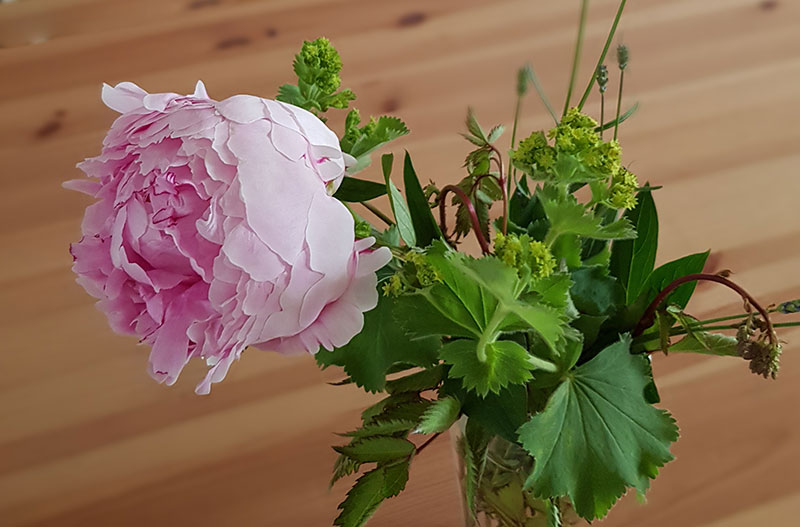 blume - danke für Ihre Newsletteranmeldung